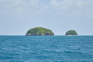 Life-in-Isolation-on-Coronado-Island-Reflections-.jpg